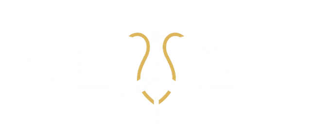 NEW 2 U Logo